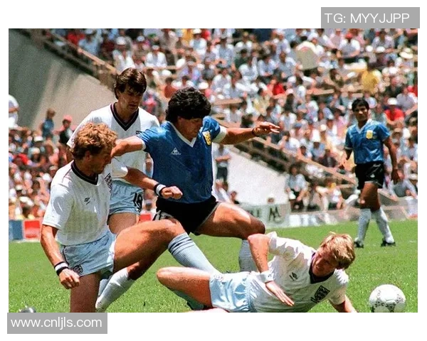 足球明星多纳的传奇故事与辉煌成就揭秘