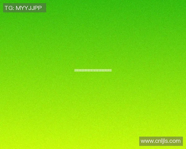 篮球明星字典图片全面解析球员风格与成就的视觉盛宴